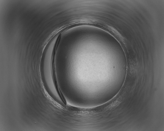 X0000084050938200702232347