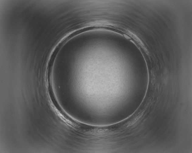 X0000084050939200702232347