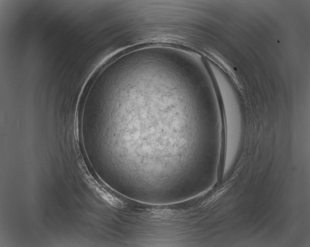 X0000084050940200702232348