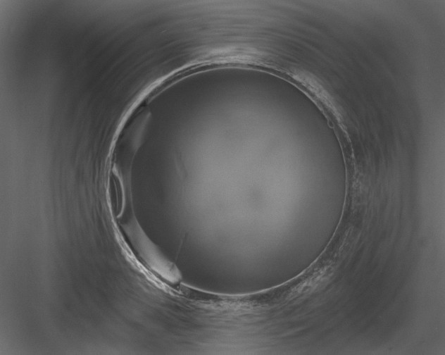 X0000084050941200702232348