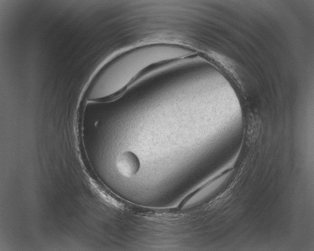 X0000084050942200702232348