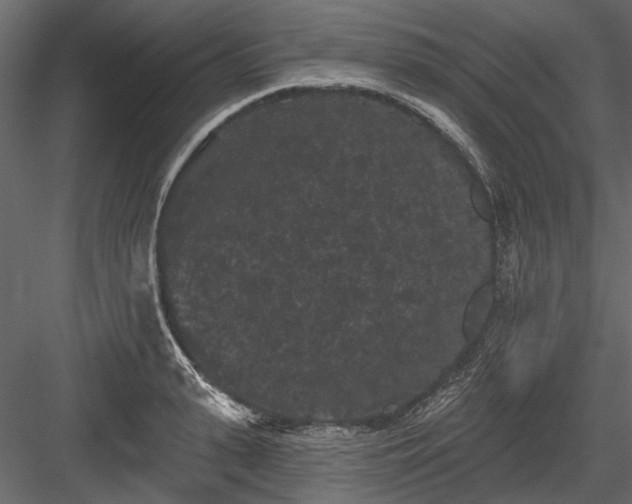 X0000084050943200702232348