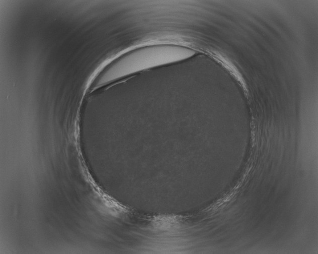 X0000084050944200702232348