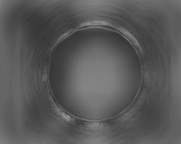 X0000084050945200702232348