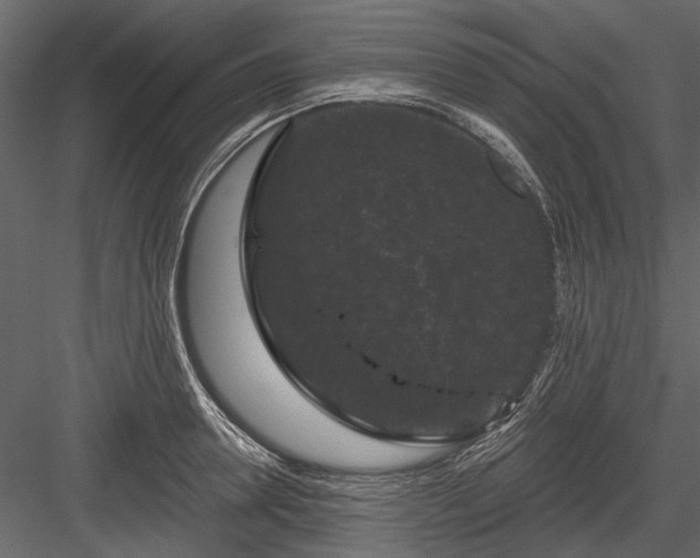 X0000084050946200702232348