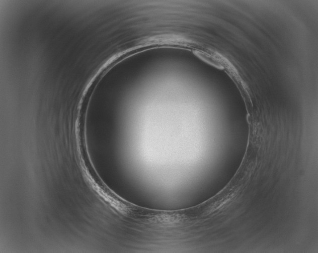 X0000084050947200702232348