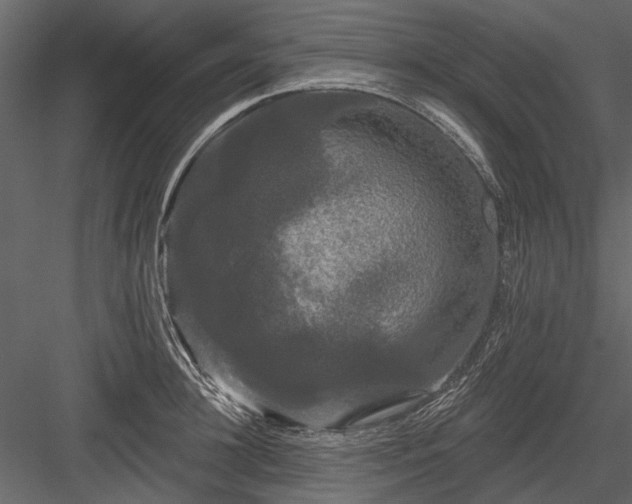 X0000084050948200702232348