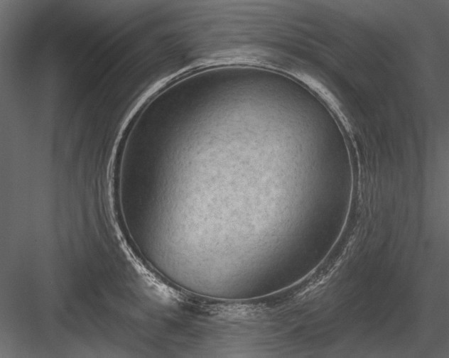 X0000084050949200702232348