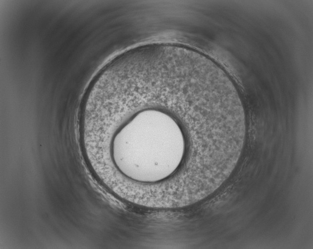 X0000084050950200702232348