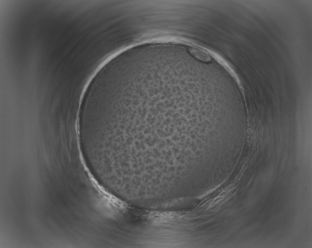 X0000084050951200702232348