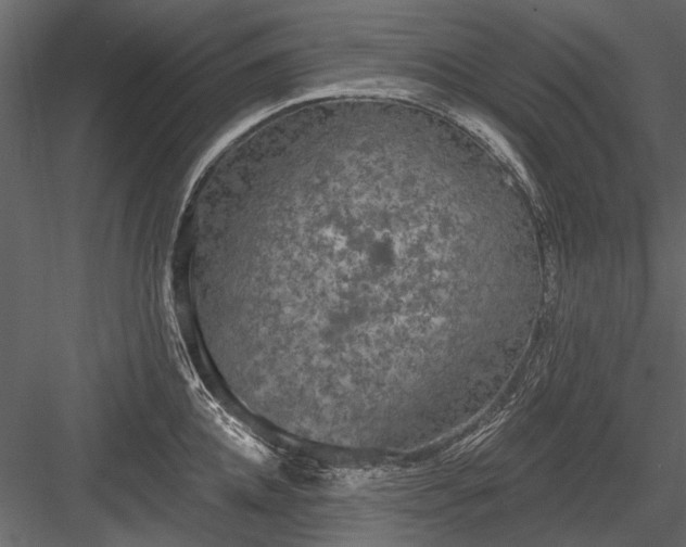 X0000084050952200702232348