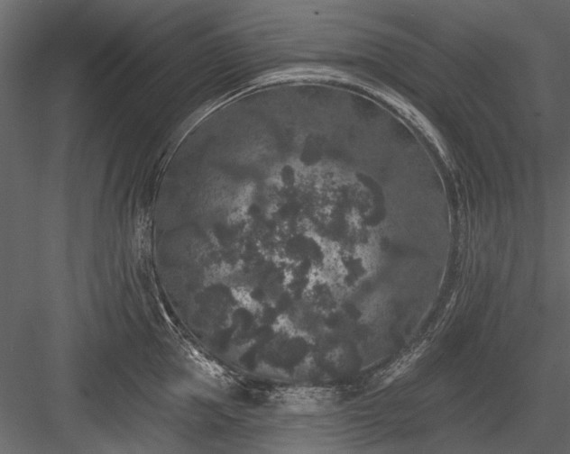 X0000084050953200702232348