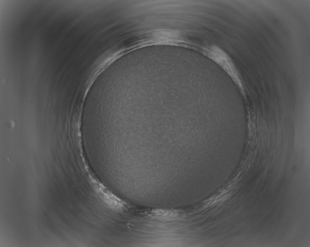 X0000084050954200702232348