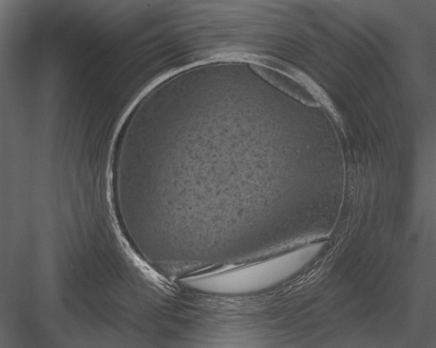 X0000084050955200702232348