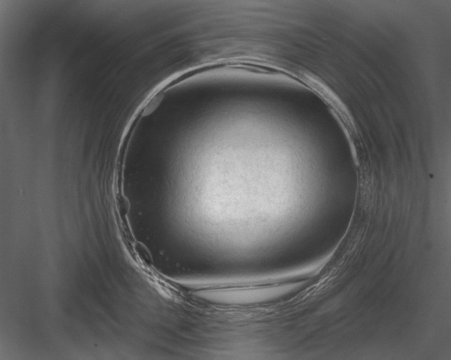 X0000084050956200702232348