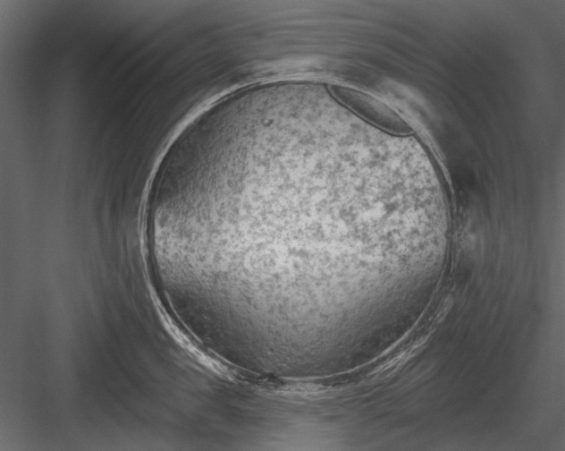 X0000084050957200702232348