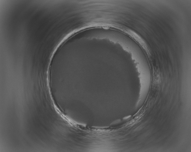 X0000084050958200702232348