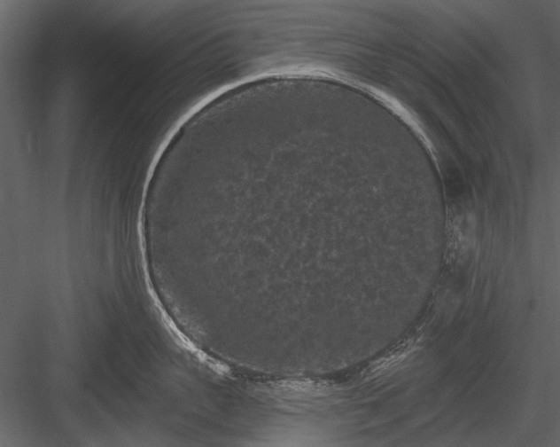 X0000084050959200702232348