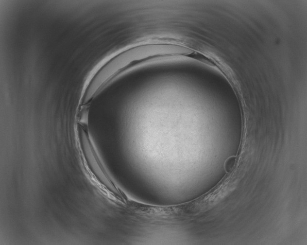 X0000084050960200702232348