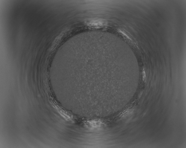 X0000084050961200702232347