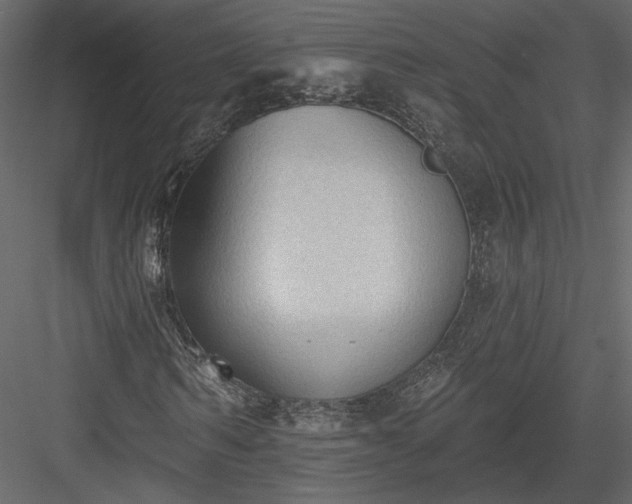 X0000084050962200702232347