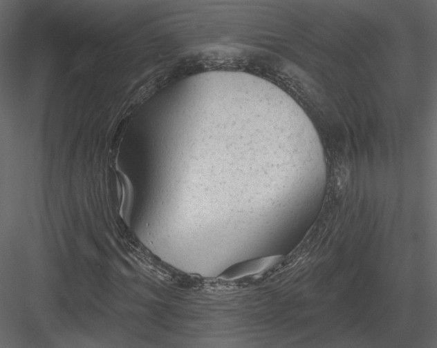 X0000084050964200702232347