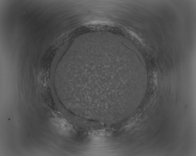 X0000084050965200702232347