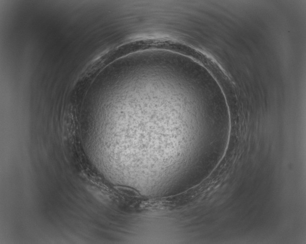 X0000084050967200702232347