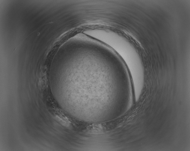 X0000084050968200702232347