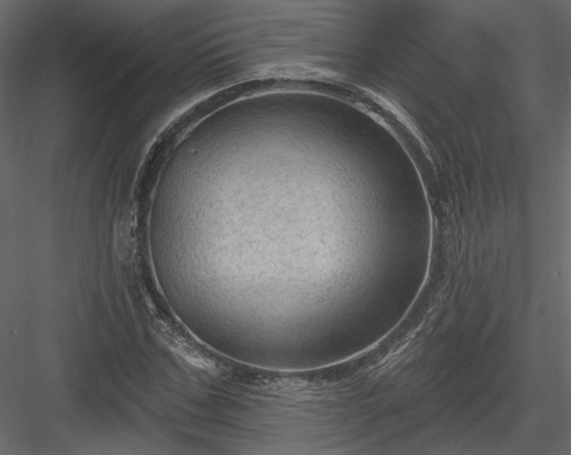 X0000084050971200702232347