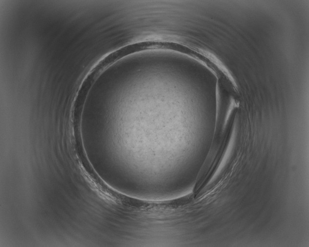 X0000084050972200702232347