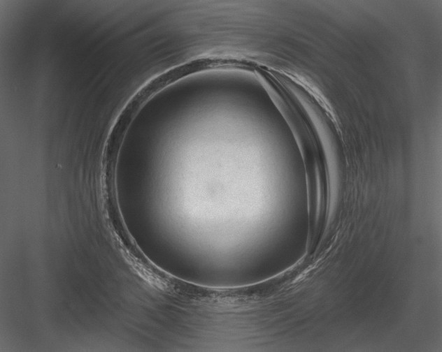 X0000084050976200702232347