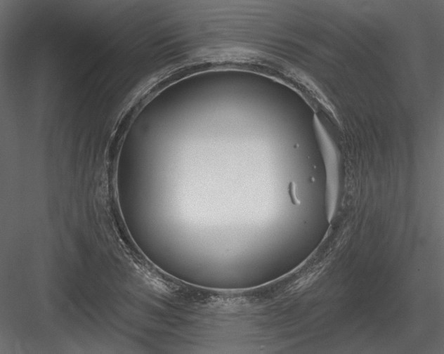 X0000084050978200702232347