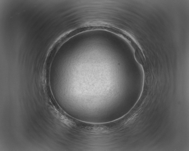 X0000084050979200702232347