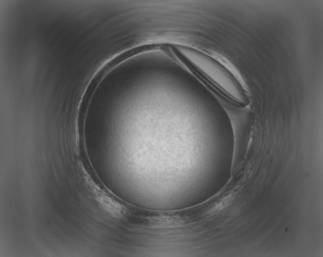 X0000084050980200702232347