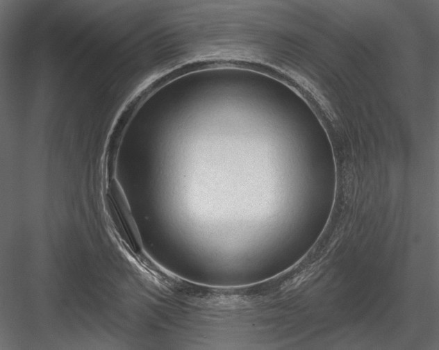 X0000084050982200702232347