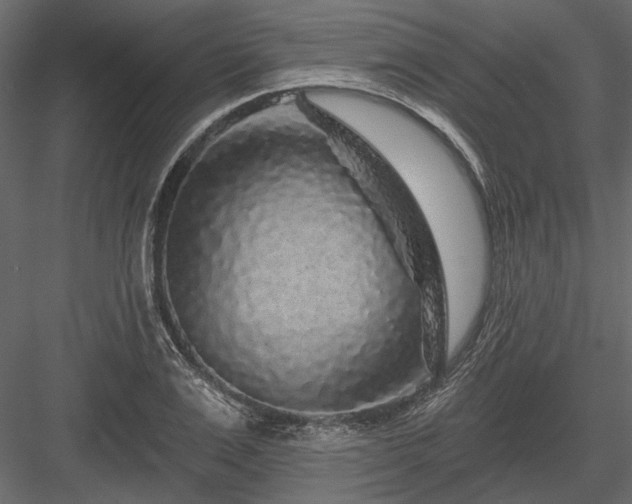 X0000084050983200702232347