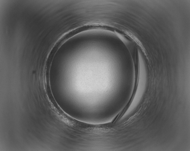 X0000084050984200702232347