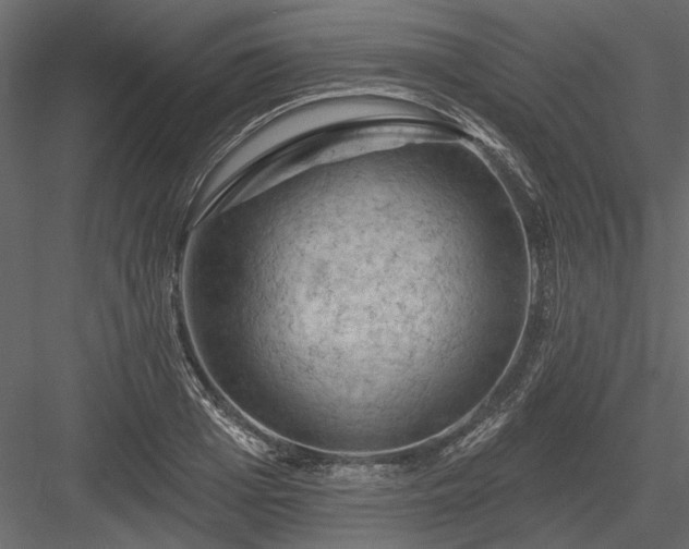 X0000084050985200702232347