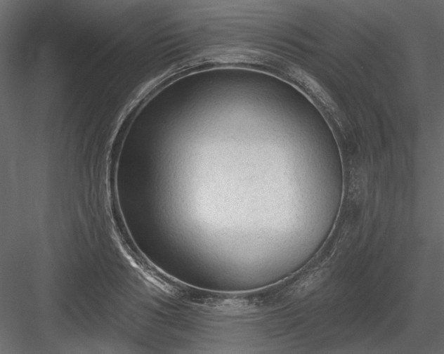 X0000084050986200702232347