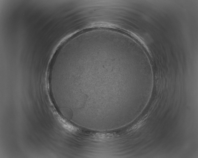 X0000084050987200702232347