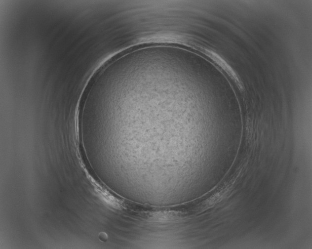 X0000084050988200702232347