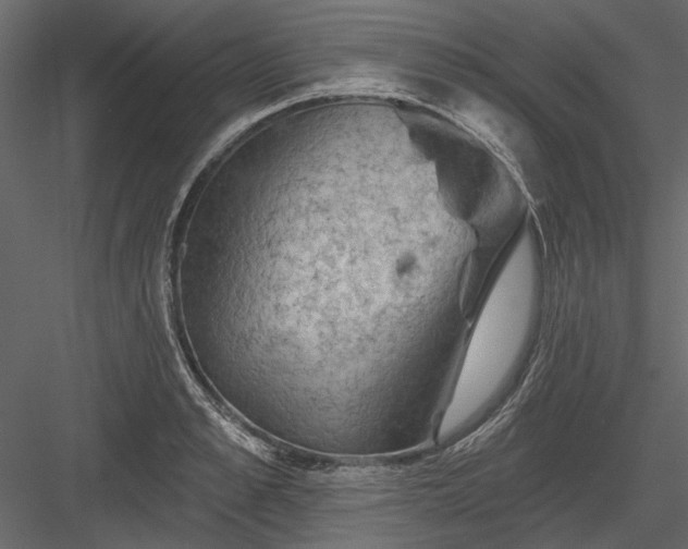 X0000084050989200702232347