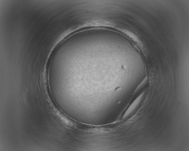 X0000084050990200702232347