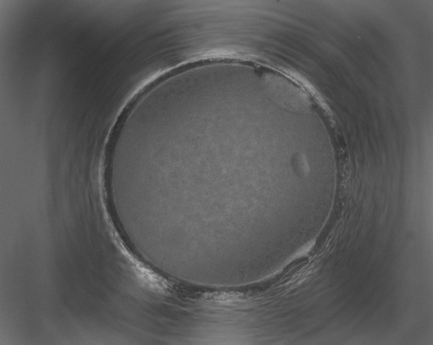 X0000084050991200702232347