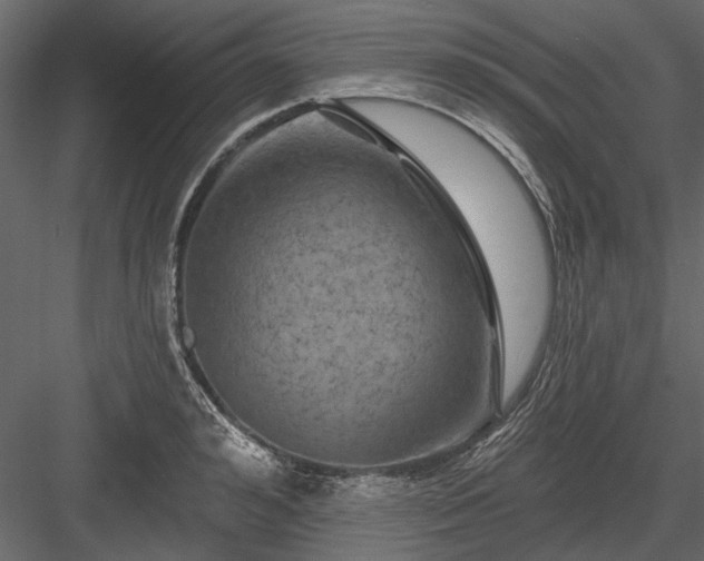 X0000084050992200702232347