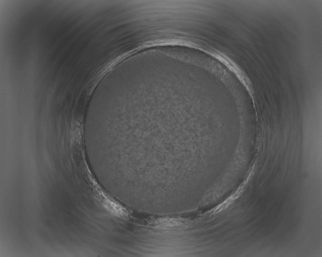 X0000084050993200702232346