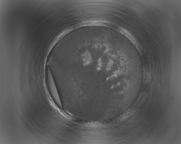 X0000084050994200702232346