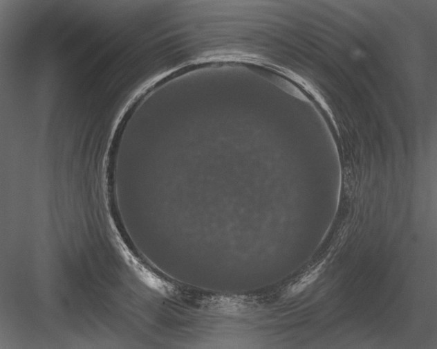 X0000084050995200702232346