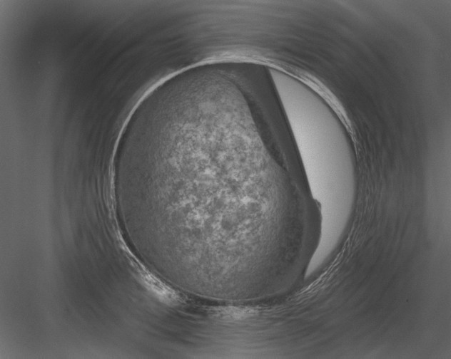 X0000084050996200702232346